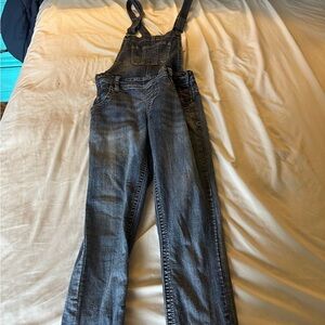 Wallflower denim overalls